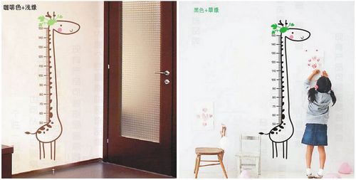 個(gè)性家裝
