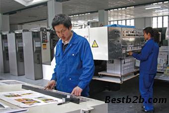 創(chuàng)新圖文設計專業(yè) 打造高效打草機宣傳冊與說明書